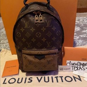 Louis Vuitton Palm Springs Pm Monogram Reverse